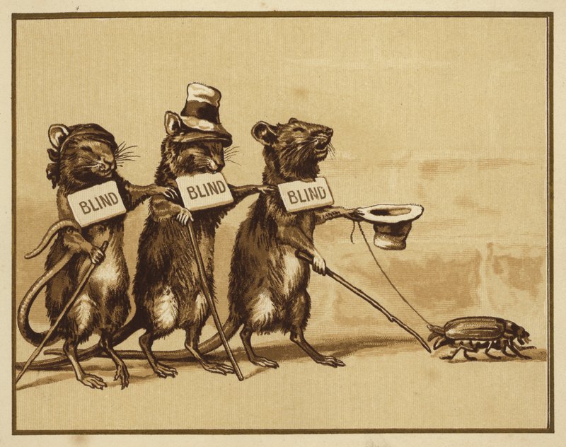 Illustrasjon for tre blinde mus (farge litho) av Edmund G. Caldwell