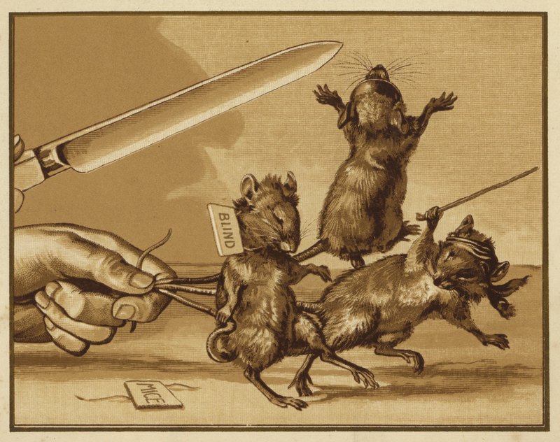Illustrasjon for tre blinde mus (farge litho) av Edmund G. Caldwell