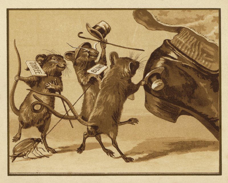 Illustrasjon for tre blinde mus (farge litho) av Edmund G. Caldwell