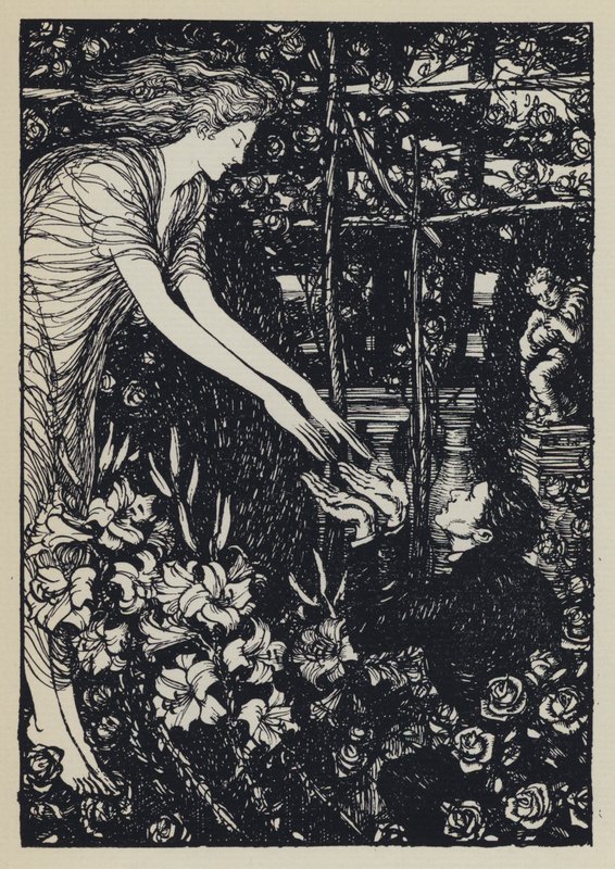Illustrasjon for Tennysons Maud av Edmund Joseph after Sullivan