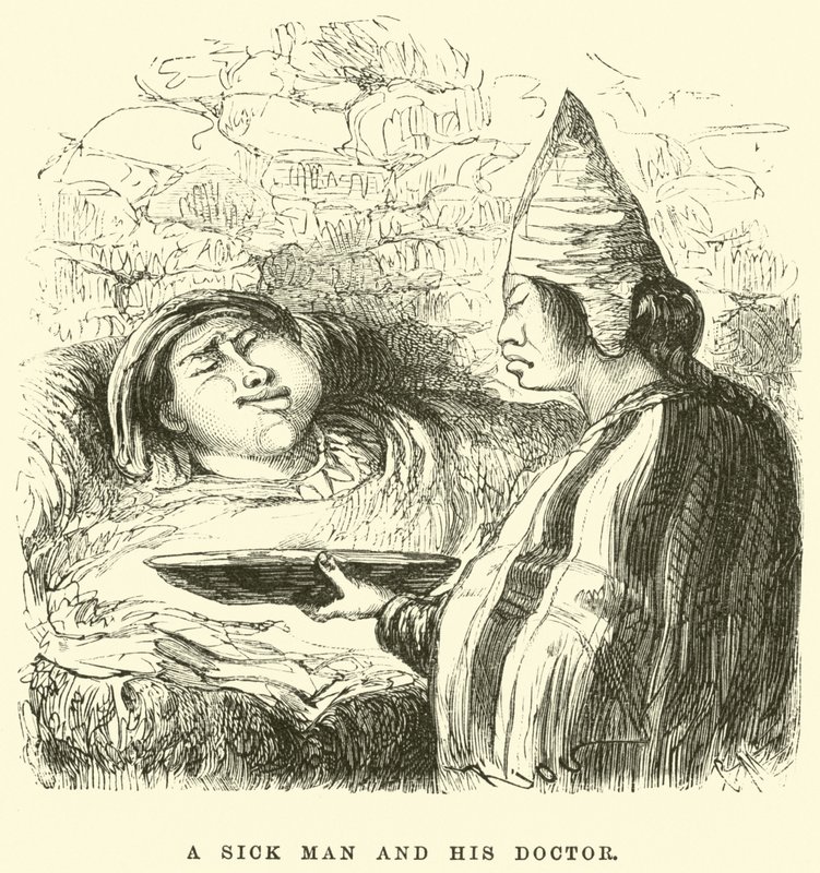 En syk mann og legen hans av Edouard Riou