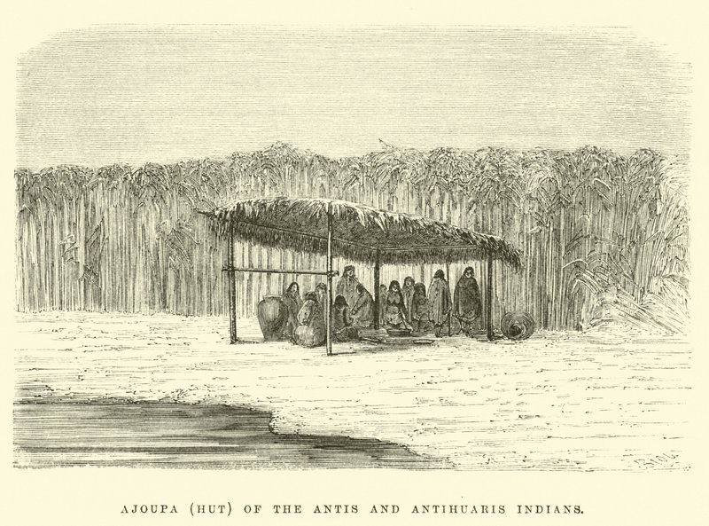 Ajoupa (hytte) av antis- og antihuaris-indianerne av Edouard Riou