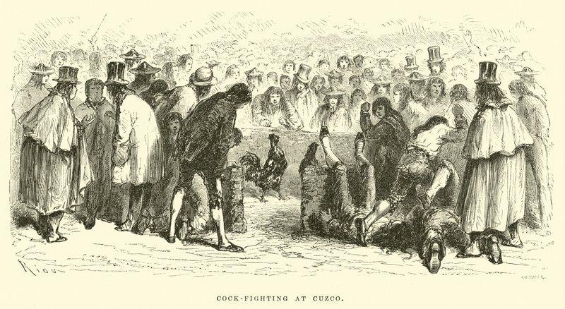 Hanekamp i Cuzco av Edouard Riou