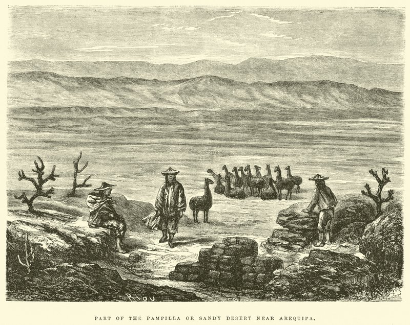 En del av Pampilla eller Sandy Desert nær Arequipa av Edouard Riou