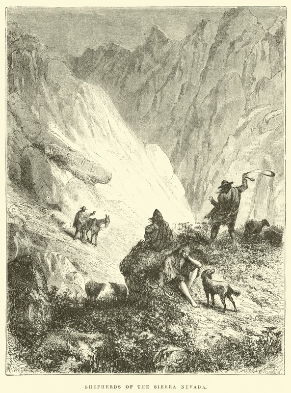 Hyrder i Sierra Nevada av Edouard Riou