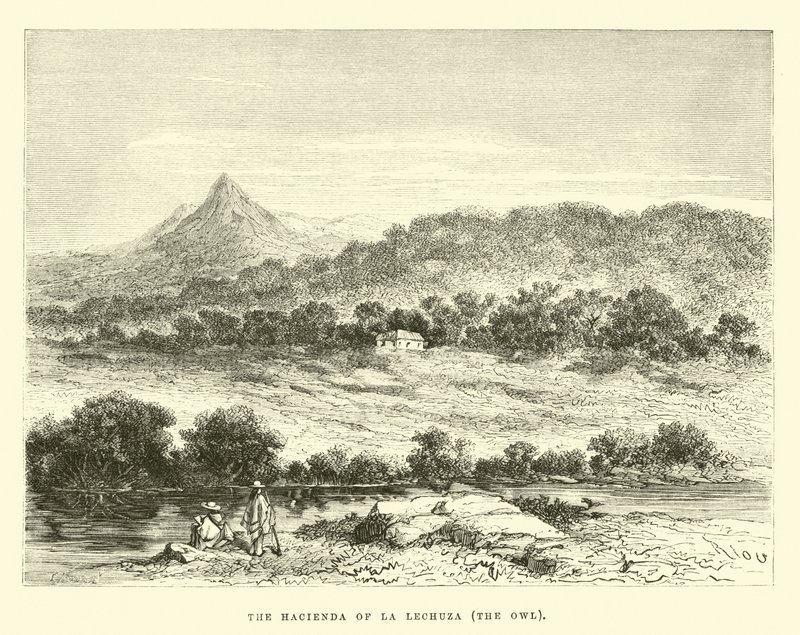Haciendaen til La Lechuza, uglen av Edouard Riou