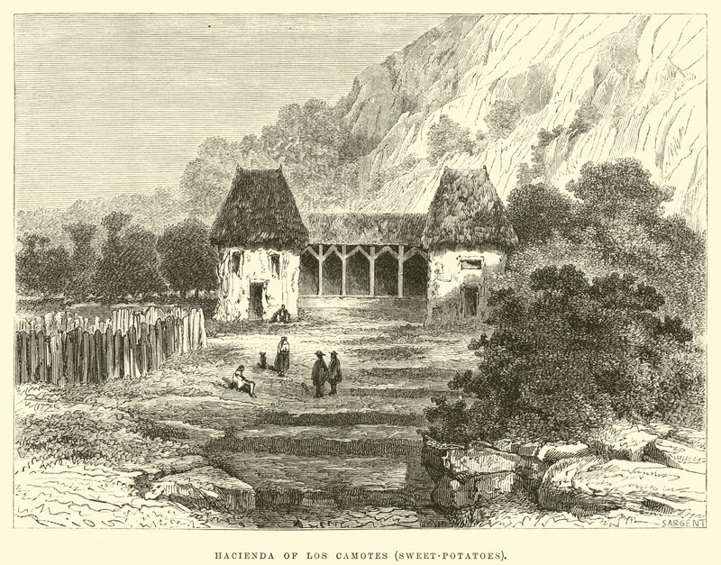 Hacienda of Los Camotes, søtpoteter av Edouard Riou