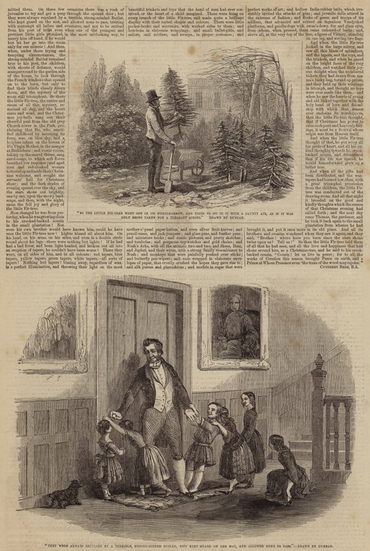 Illustrasjoner for Det lille grantreet av Edward Duncan