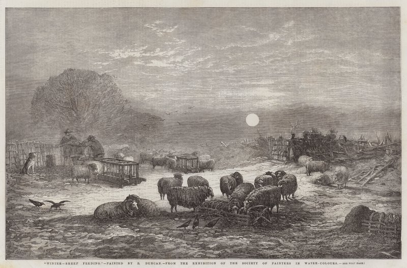 Winter, Sheep Feeding, fra utstillingen til Society of Painters in Water-Colours av Edward Duncan