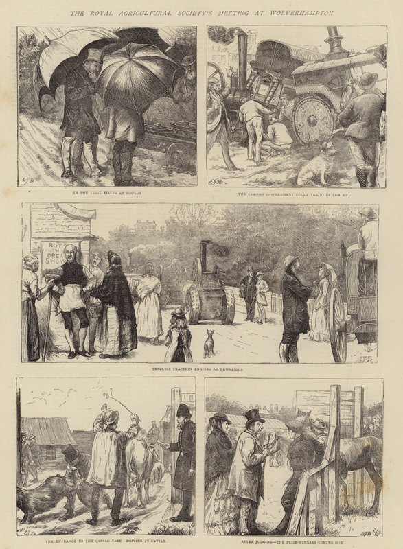 Royal Agricultural Societys møte i Wolverhampton av Edward Frederick Brewtnall