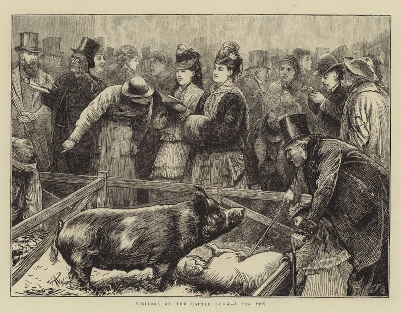 Besøkende på storfeutstillingen, en grisegård av Edward Frederick Brewtnall