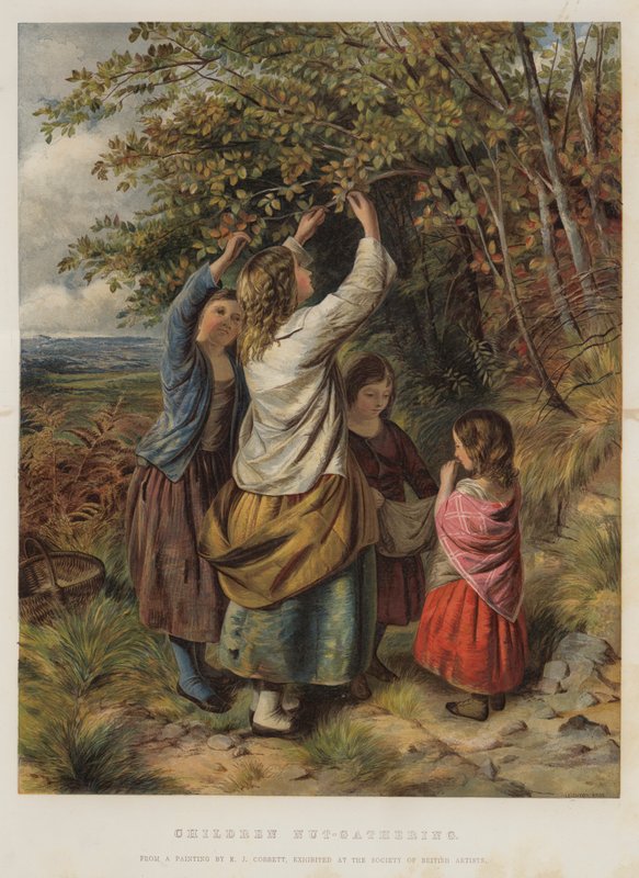 Barn nøtte-samling av Edward John Cobbett
