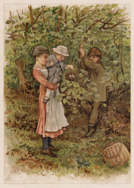 Flapsy og Pecksy av Edward Killingworth Johnson