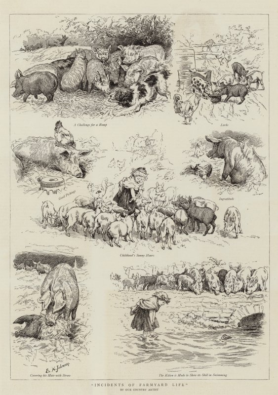 Hendelser av Farmyard Life av Edward Killingworth Johnson