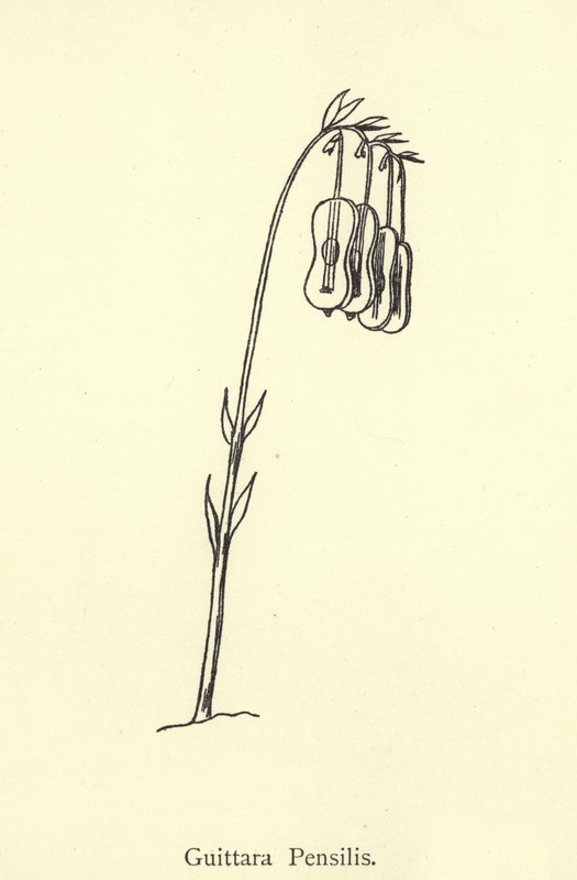 Guittara Pensilis av Edward Lear