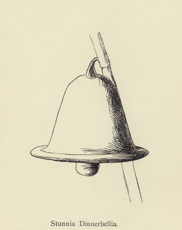 Stunnia Dinnerbellia av Edward Lear