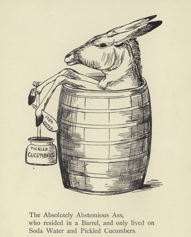 Den absolutt avholdende ass av Edward Lear