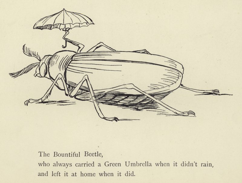 The Bountiful Beetle av Edward Lear