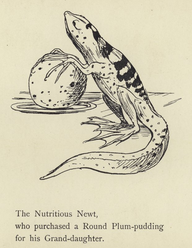 Den næringsrike Newt av Edward Lear