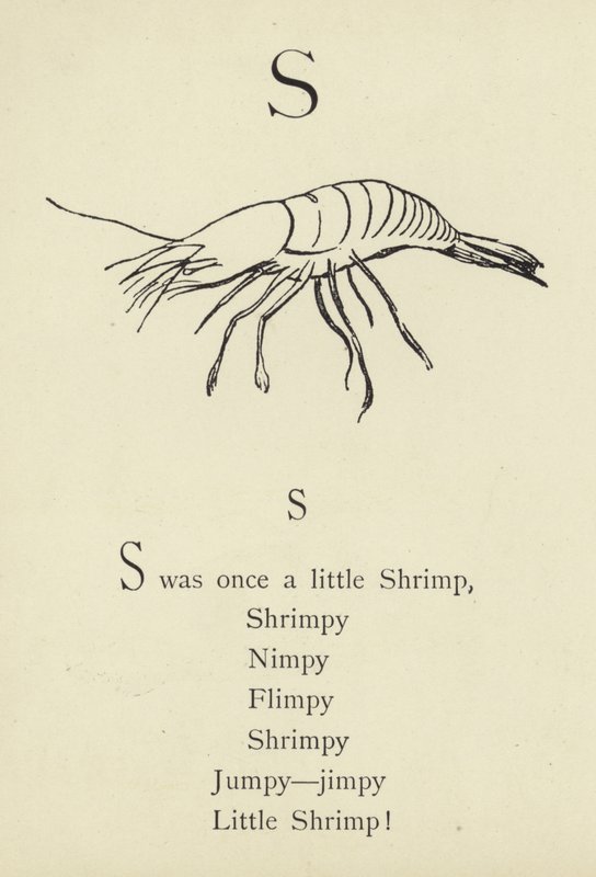 Brevene av Edward Lear
