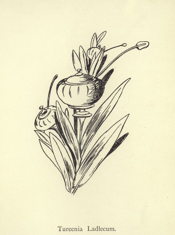 Tureenia Ladlecum av Edward Lear