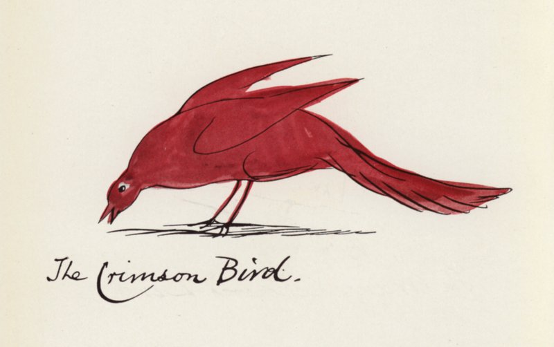 Edward Lear, The Bird Book: The Crimson Bird (litho-farge) av Edward (after) Lear