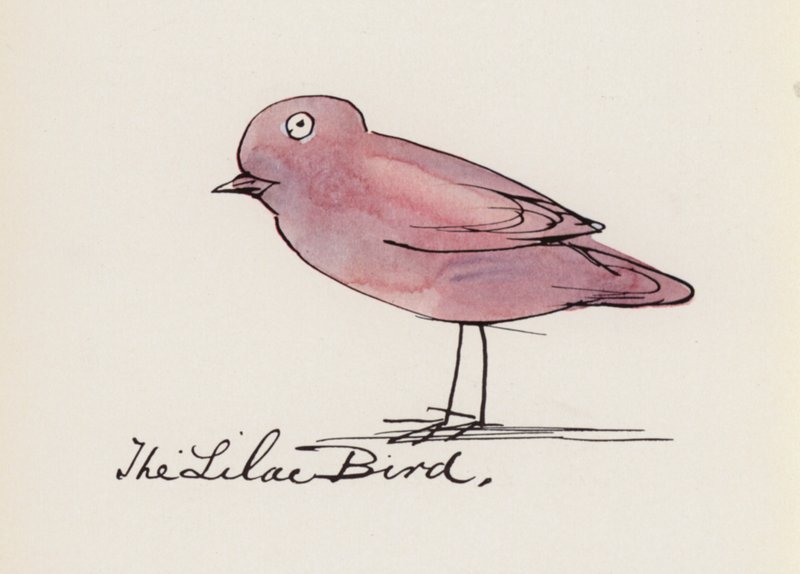 Edward Lear, The Bird Book: The Lilac Bird (farge litho) av Edward (after) Lear