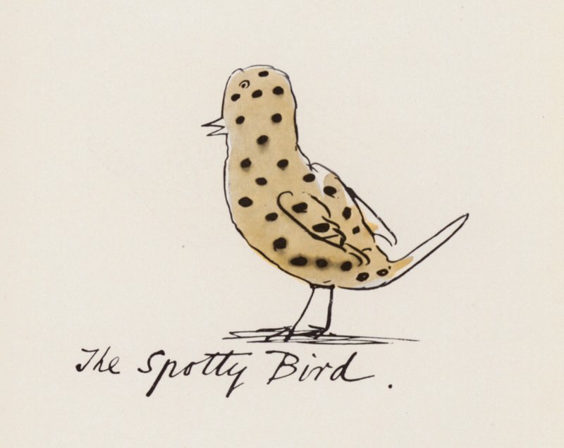 Edward Lear, The Bird Book: The Spotty Bird (litho-farge) av Edward (after) Lear