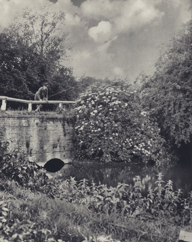  av Edward Alfred Barton