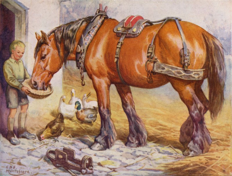 Gutt mater en hest på en gårdsplass (farge litho) av Edward Brice Montefiore