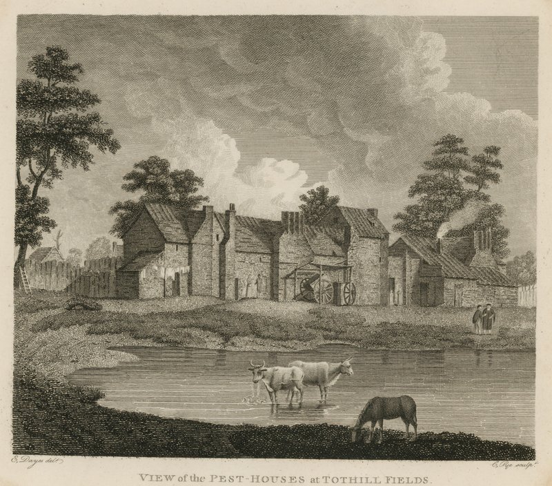 Utsikt over skadedyrhusene ved Tothill Fields, London av Edward Dayes