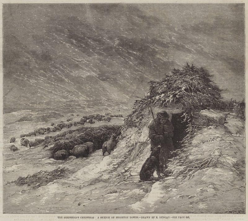 The Shepherd