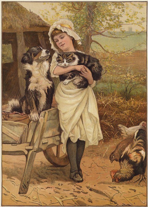 Rivalene av Edward Killingworth Johnson