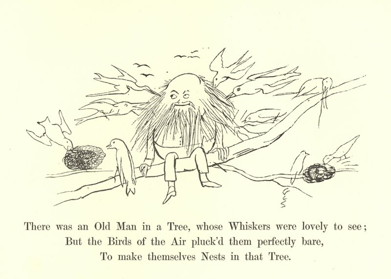 Det var en gammel mann i et tre, hvis værhår var nydelig å se av Edward Lear