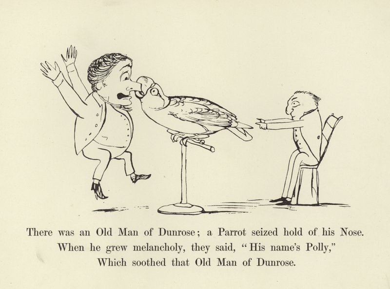 Det var en gammel mann fra Dunrose; en papegøye grep tak i nesen hans av Edward Lear
