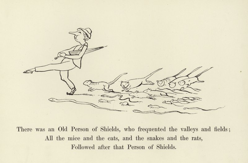 Det var en gammel skjoldperson, som besøkte dalene og jordene av Edward Lear
