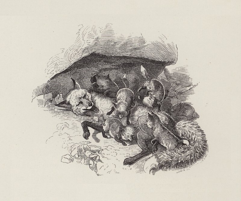 Illustrasjon for The Water-Babies av Charles Kingsley (gravering) av Edward Linley (after) Sambourne