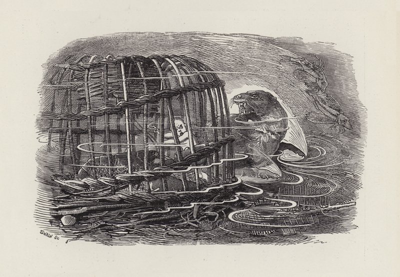 Illustrasjon for The Water-Babies av Charles Kingsley (gravering) av Edward Linley (after) Sambourne
