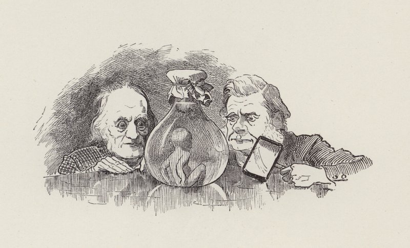 Illustrasjon for The Water-Babies av Charles Kingsley (gravering) av Edward Linley (after) Sambourne