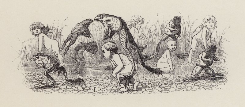 Illustrasjon for The Water-Babies av Charles Kingsley (gravering) av Edward Linley (after) Sambourne