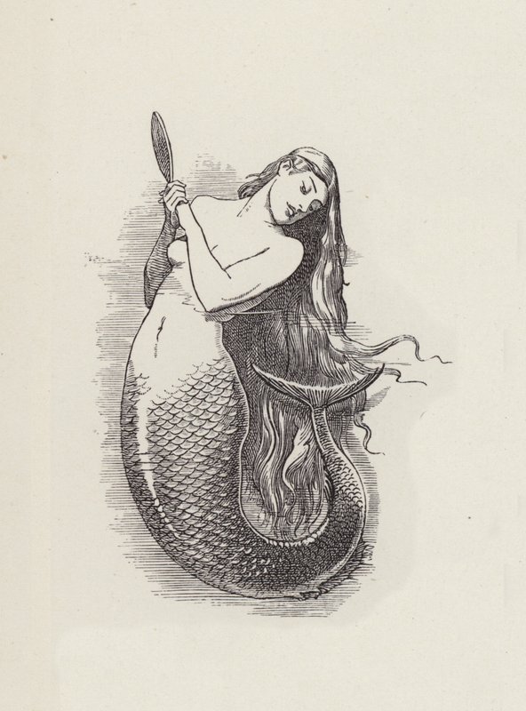 Illustrasjon for The Water-Babies av Charles Kingsley (gravering) av Edward Linley (after) Sambourne