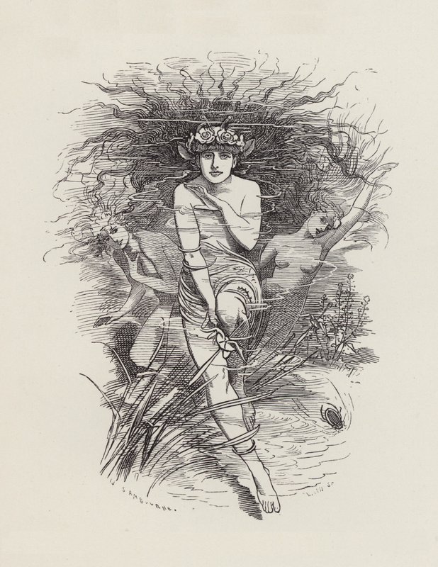 Illustrasjon for The Water-Babies av Charles Kingsley (gravering) av Edward Linley (after) Sambourne