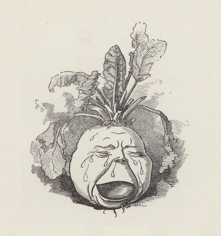 Illustrasjon for The Water-Babies av Charles Kingsley (gravering) av Edward Linley (after) Sambourne