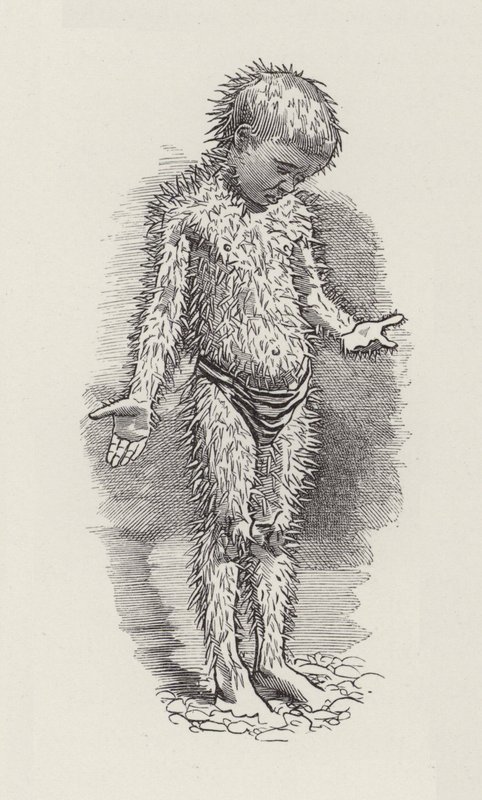 Illustrasjon for The Water-Babies av Charles Kingsley (gravering) av Edward Linley (after) Sambourne