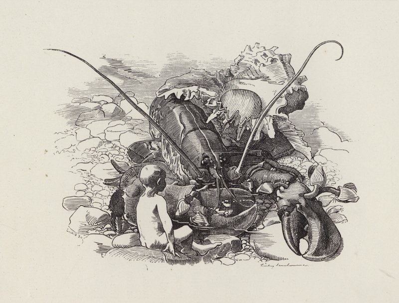 Illustrasjon for The Water-Babies av Charles Kingsley (gravering) av Edward Linley (after) Sambourne