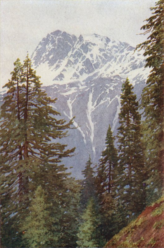 Kotwal fra skogen over Kangan, Sind-dalen av Edward Mary Joseph Molyneux