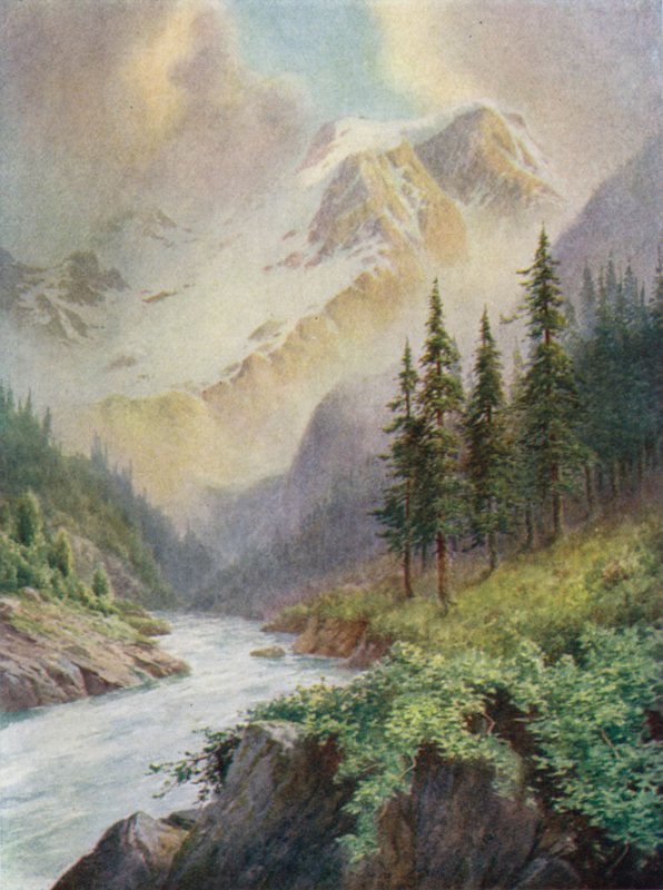 Fjelltåker av Edward Mary Joseph Molyneux