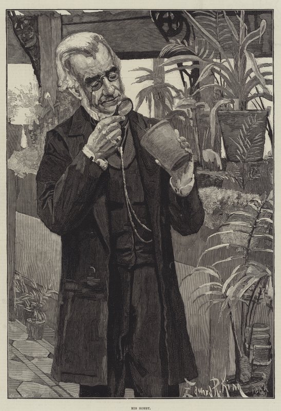 Hobbyen hans av Edward R. King