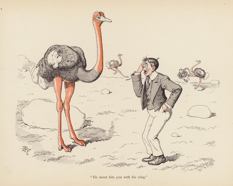 Haler med en vri: Strutsen (farge litho) av Edward Tennyson Reed