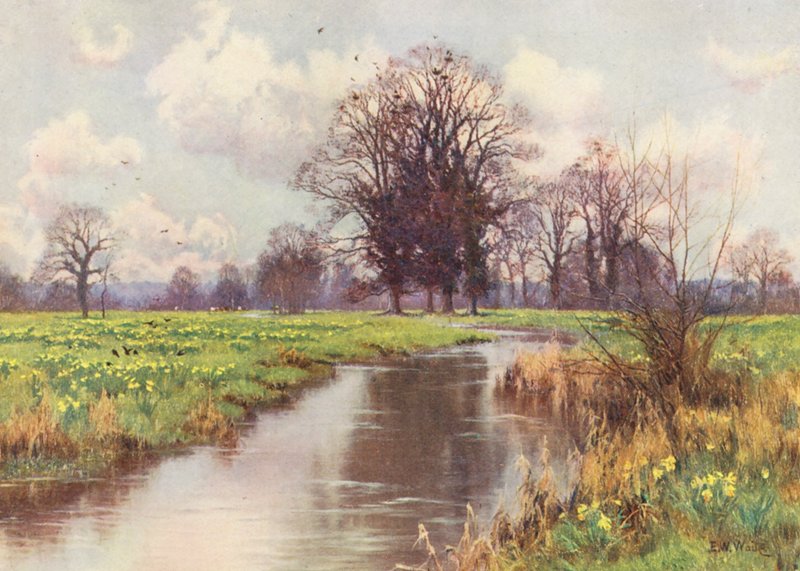  av Edward Wilkins Waite
